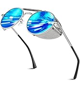 Retro Round Polarized Steampunk Sunglasses Men Women Side Shield Goggles Gothic S92-ADVANCED POLA...
