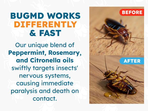 targets insects