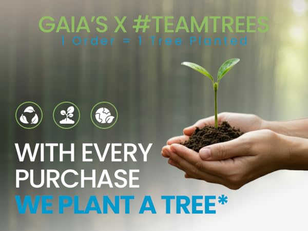 TeamTrees Planting Tree Donation