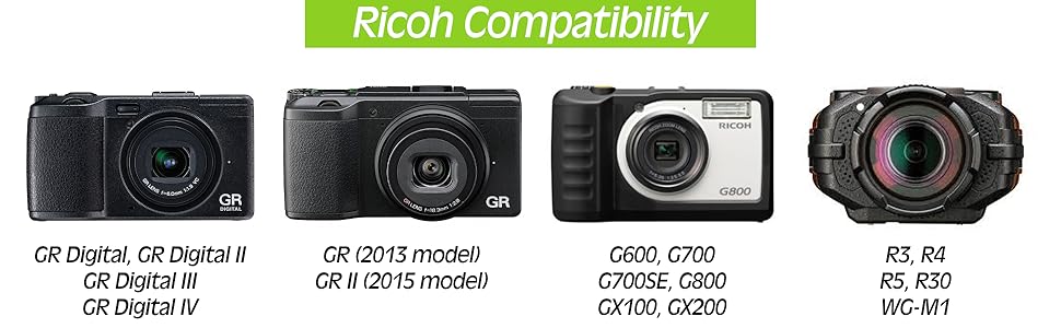 Ricoh DB-65