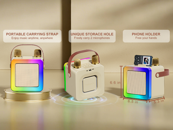 Portable araoke System with Mics Storage Hole and Phone Stand