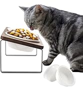 Sunhoo Elevated Cat Bowls for Indoor Cats Ceramic Kitty Dish Food Water Raised Tilted Puppy Feedi...