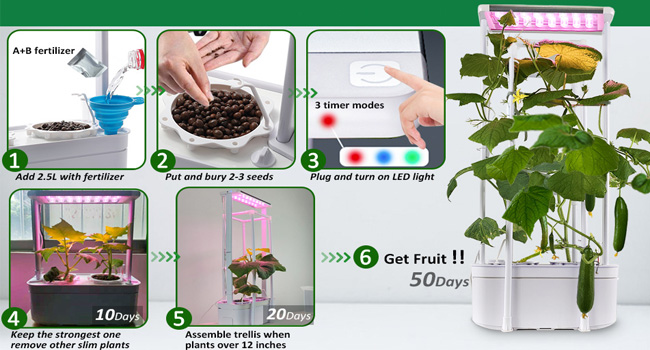 hydroponics cucumber grow