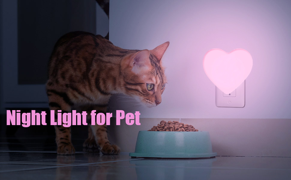 Night Light plug into wall