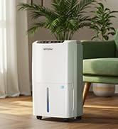 Dehumidifier for Basement
