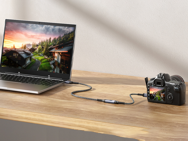 Mini HDMI to HDMI Adapter