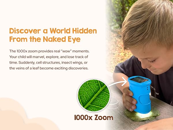 discover a hidden world