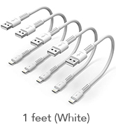 1ft Lightning cable