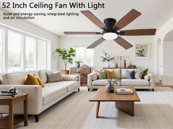 Ceiling Fans with Lights
