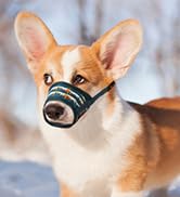 dog muzzle