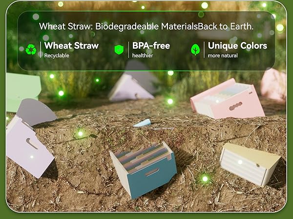 accordion file organizer