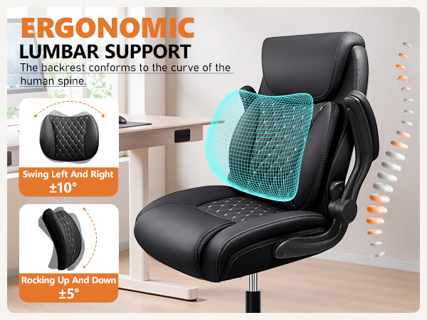 Ergonamic Lumbar Support
