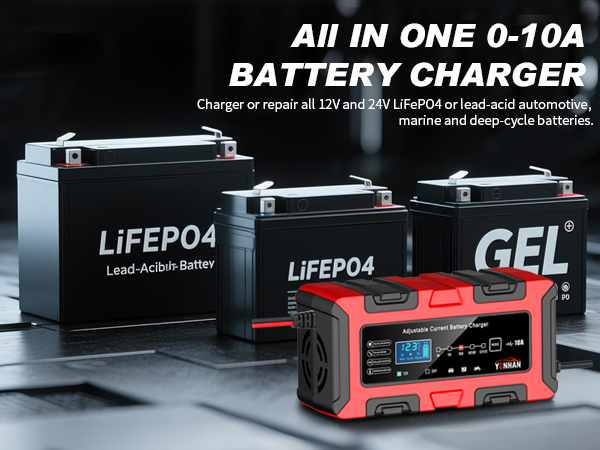 LiFePO4 Trickle Car Battery Charger