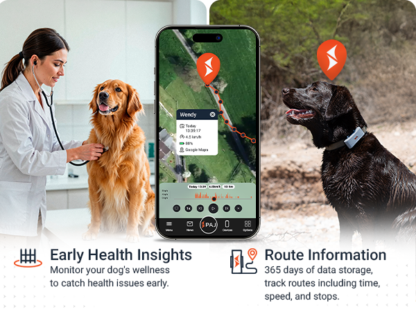 pet loaction tracker