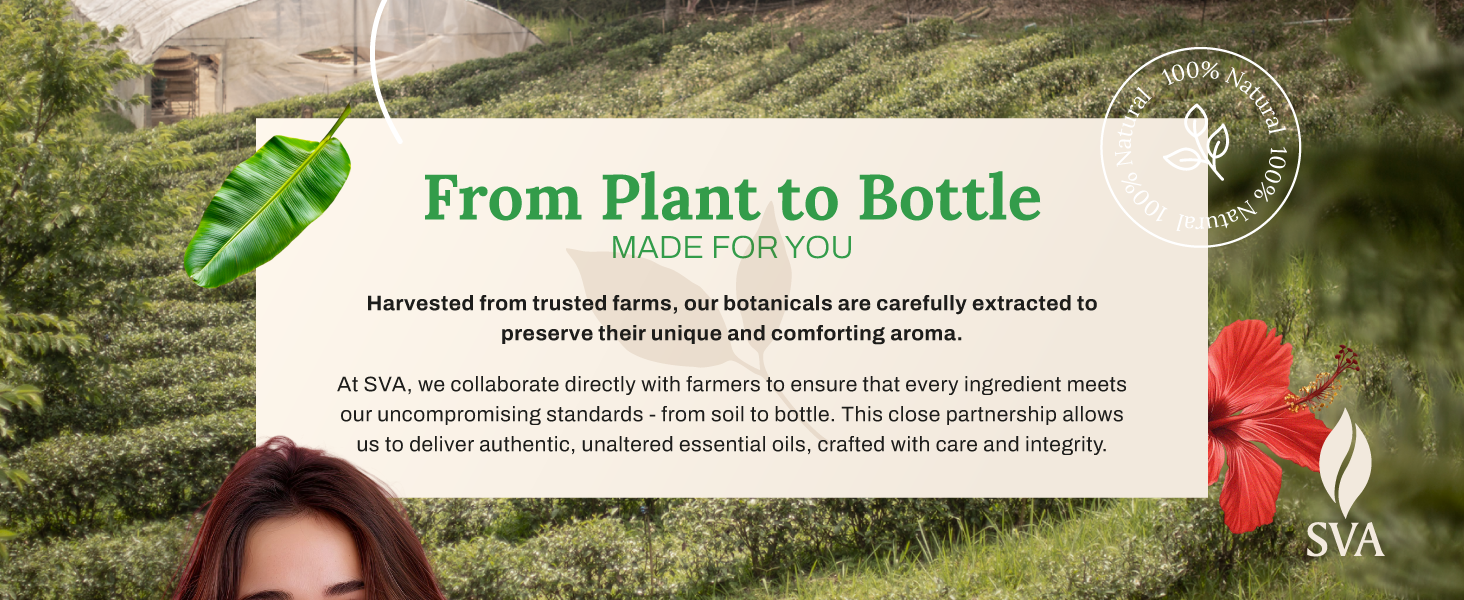 SVA pure and natural bundle pack of oils are suitable for everyday care