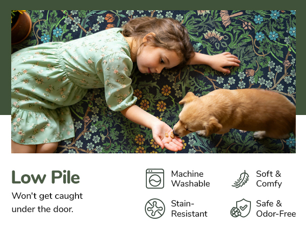 area rug