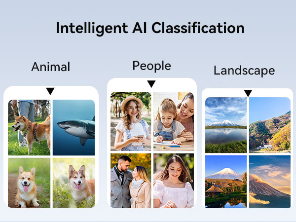 Classification