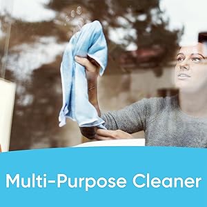 multisurface cleaner