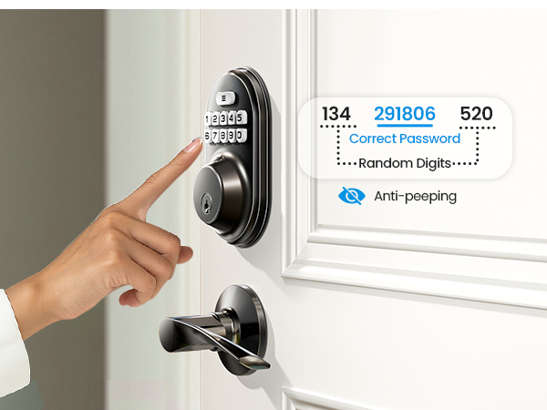 keyless entry door lock with handle 