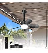 Small Ceiling Fan with Light &amp; Remote, 20" 30W 2000 Lumens 3 Colors 3000K-6500K 6-Speed Outdoor F...