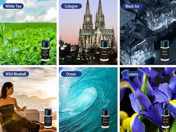 car fresheners long lasting