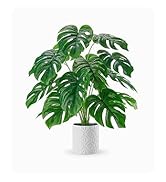 fake plant