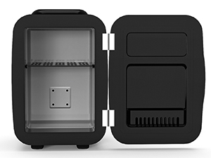 Mini Fridge Small Refrigerator Portable Thermoelectric Cooler and Warmer Fridge