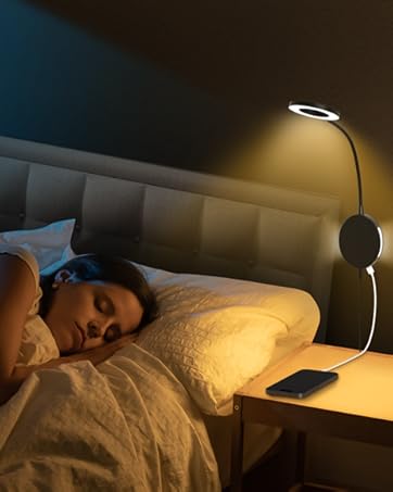 Wall Mounted Reading Light