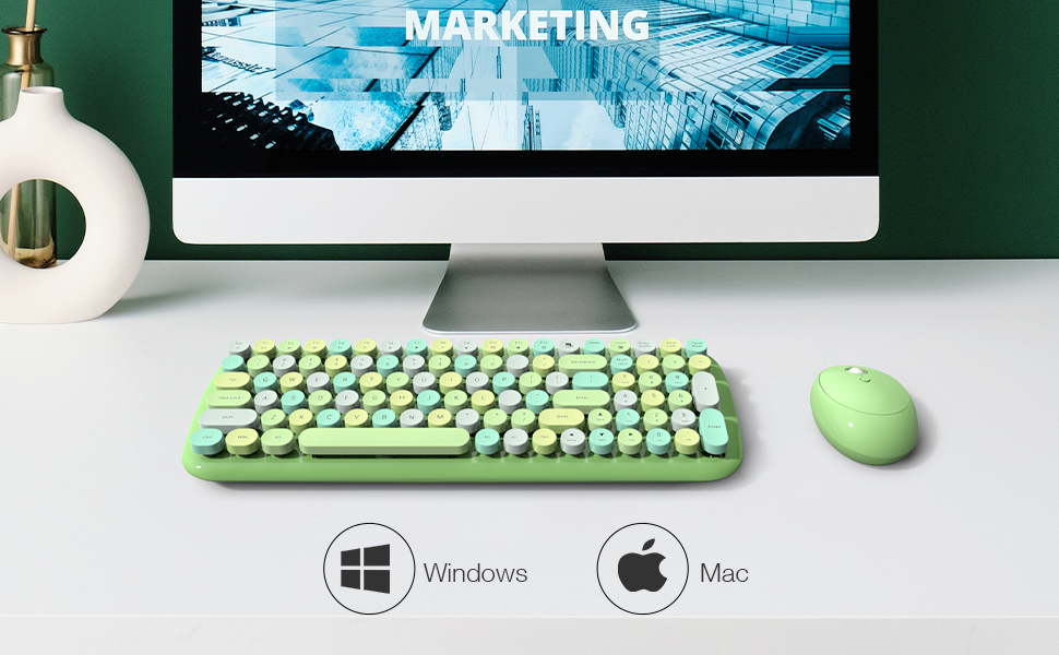 Compared for Windows and MAC