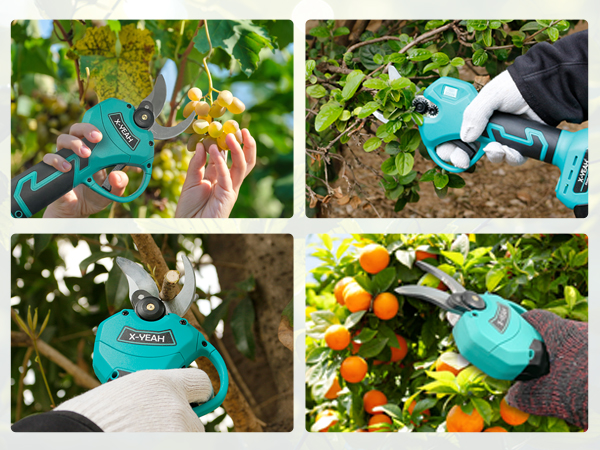 Pruning Shears