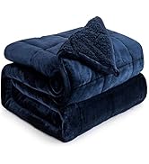 Cottonblue Weighted Blanket 15lbs for Queen Bed, Weighted Blankets for Adults, Fuzzy Soft Sherpa ...