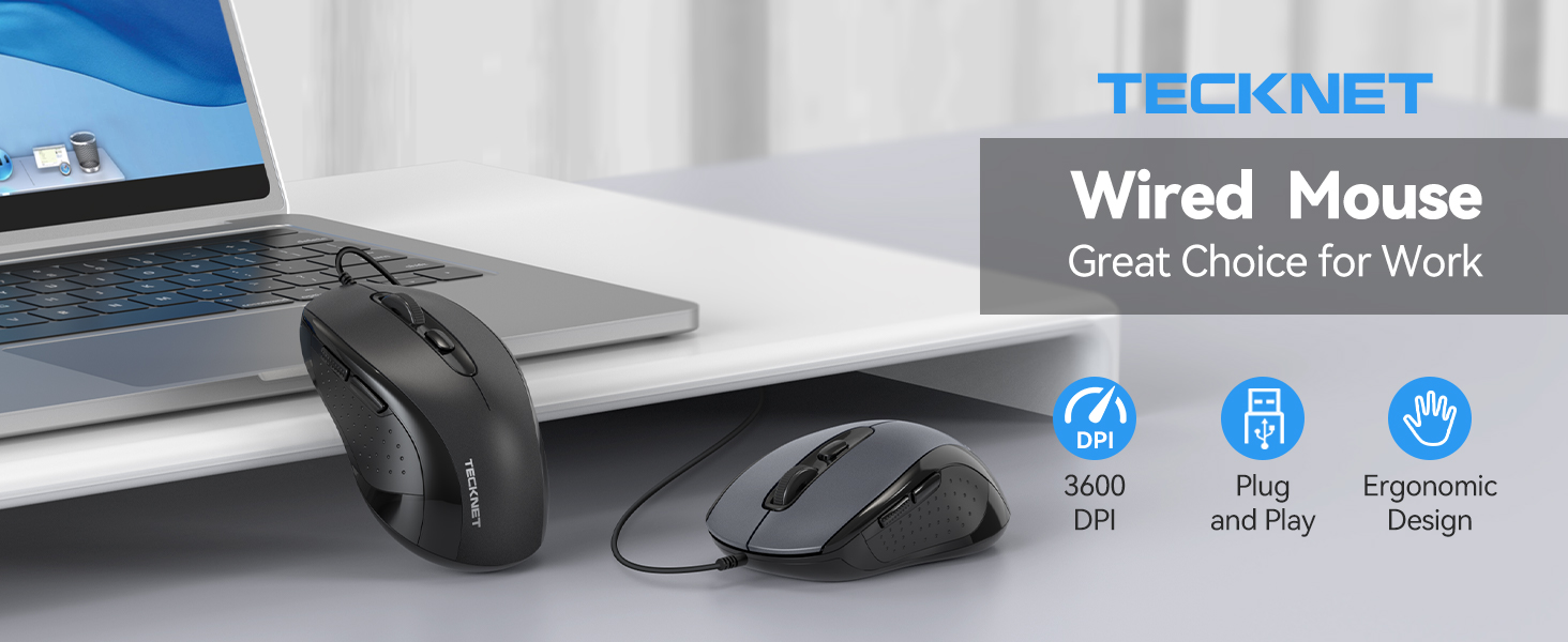 a mouse and a mouse on a desk