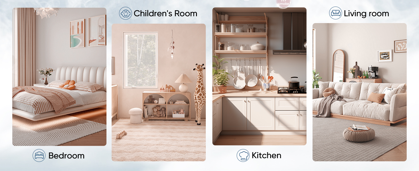 Smoke and Carbon Monoxide Detector, Combination Smoke Alarm and Carbon Monoxide Detector Battery