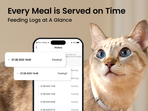 automatic cat feeder
