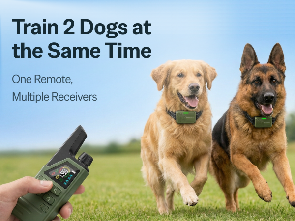 dog training collar with remote for 2 dogs waterproof vibration beep rechargeable collar