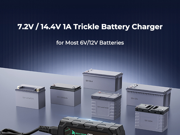 12V 1A Lithium Battery Charger