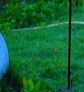 Solar Flame Hanging Lights
