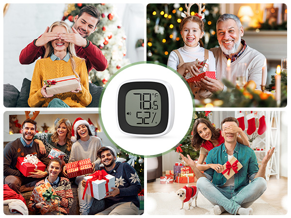 Refrigerator Thermometer