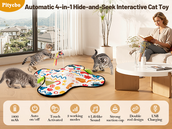 Interactive Cat Toys
