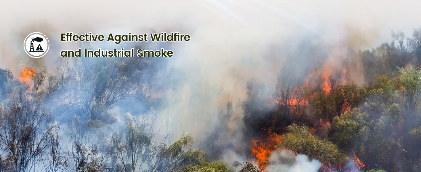 Air purifiers for home