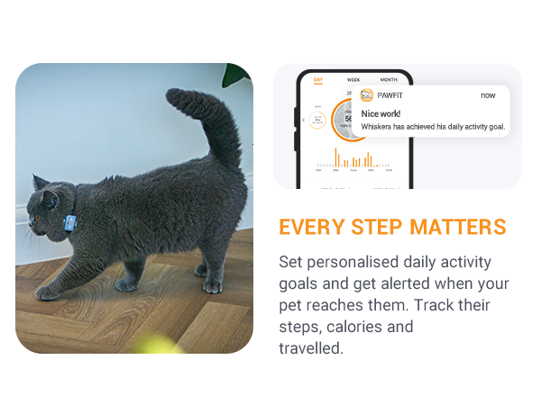 pawfit