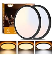 Bargeni 2 Pack Flush Mount Ceiling Light,12 inch Ceiling Light with Night Light,24W/3000K/4000K/5...