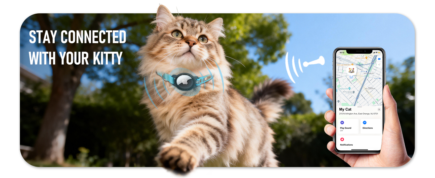 airtag collar cat