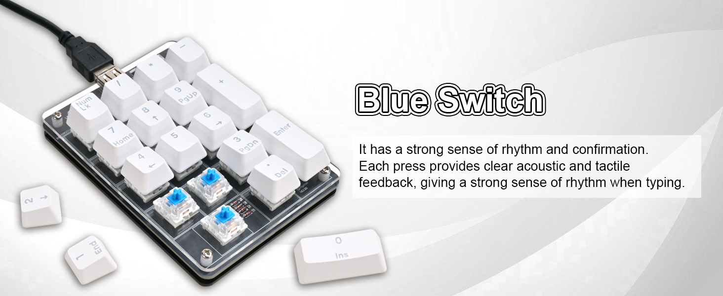 Blue Switch