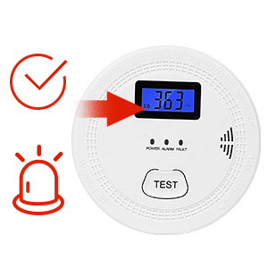 Carbon Monoxide Detector