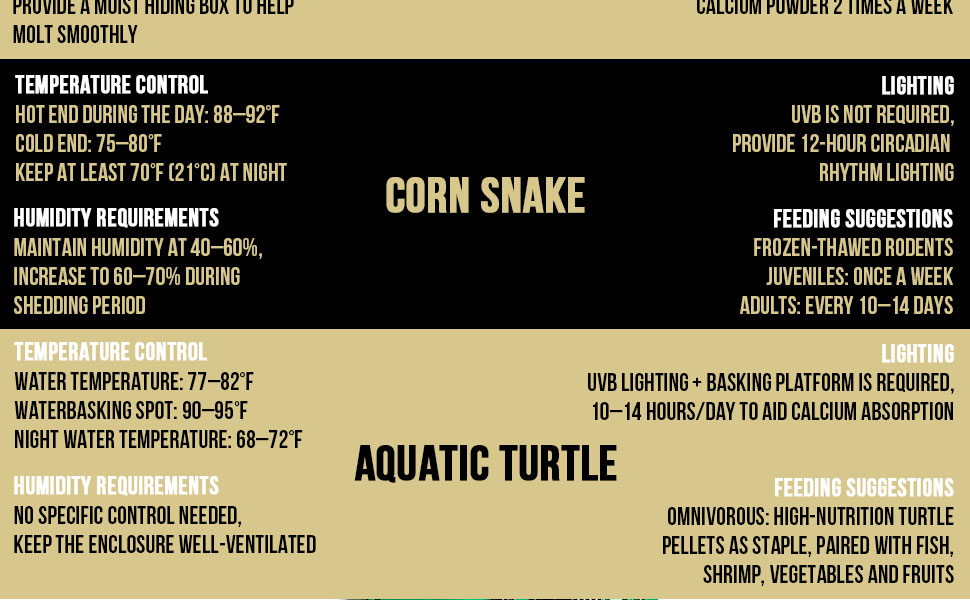 reptail thermometer