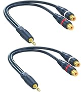 DteeDck RCA to AUX Adapter 2 Pack, 2 RCA Female to 1/8 inch Stereo Headphone Cable, RCA to 3.5 mm...