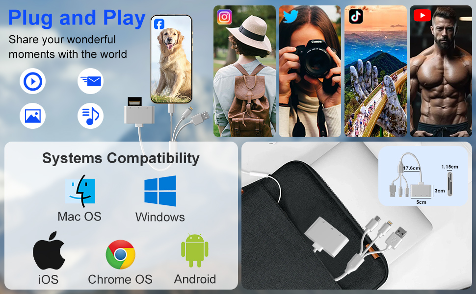 xd to sd card adapter