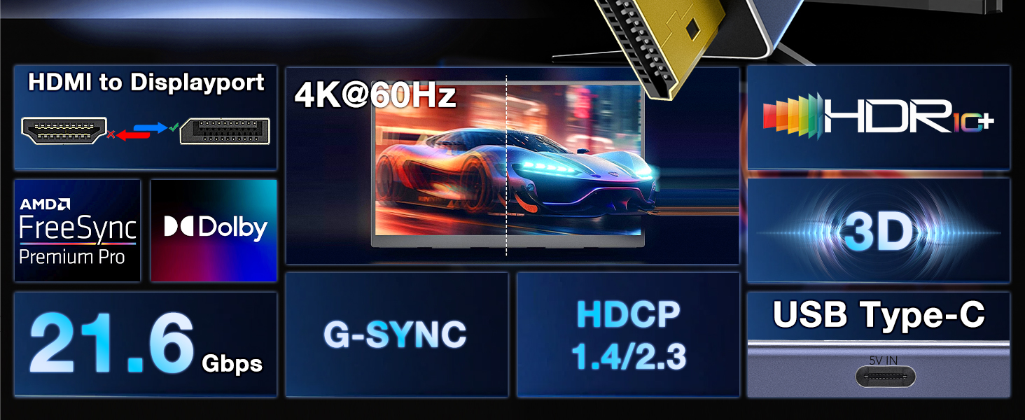 HDMI to DisplayPort Adapter