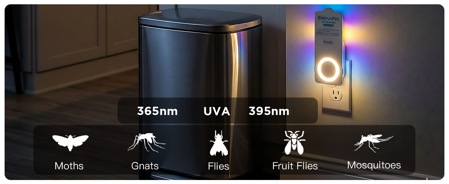 fly killer gnat killer plug in best safe electric flying insect trap fruit fly bug blue UV light